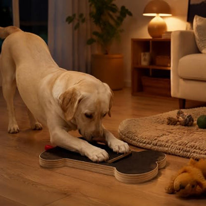 Dog Scratch Board with Treat Box