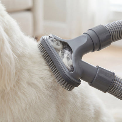 ProPet 5-in-1 Dog Grooming Vacuum Kit – Low Noise, 11000Pa Power, 2.5L Dust Cup